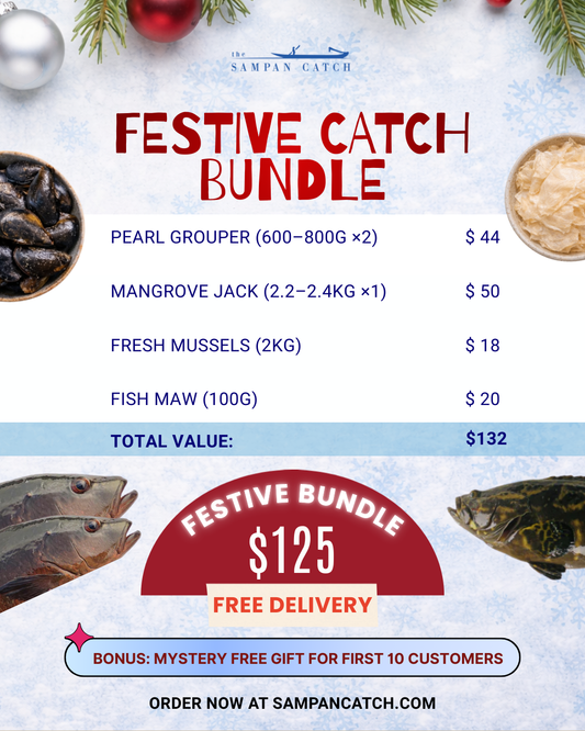 ✨  FESTIVE BUNDLE  ✨